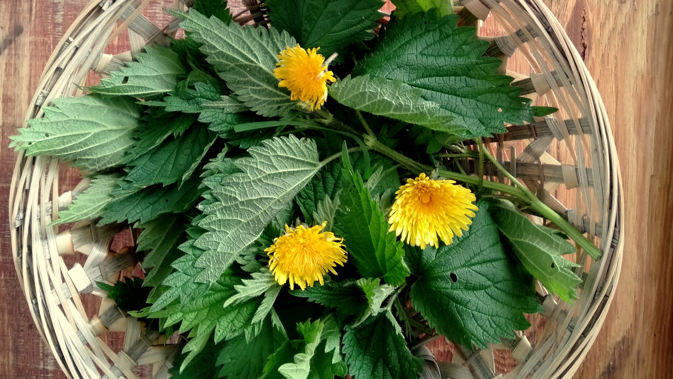 You are currently viewing Alergie pod kontrolą. Jak budować odporność na pyłki?